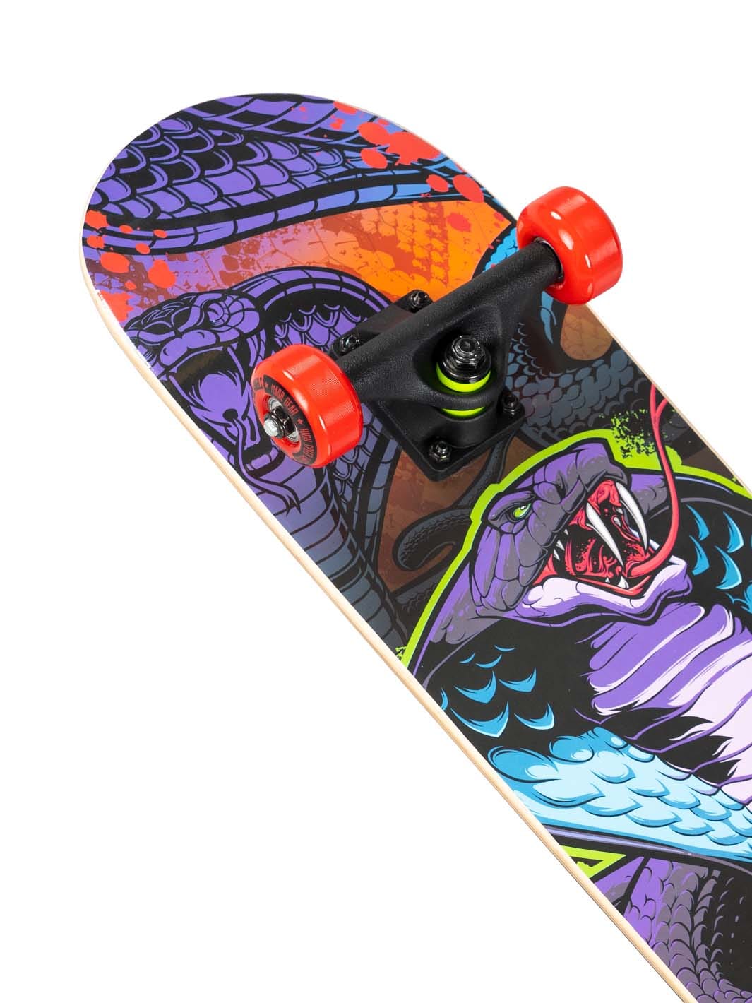 madd-gear-31-ltr-complete-skateboard-popsicle-zootoxin image 2